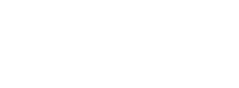 logo LLWIN